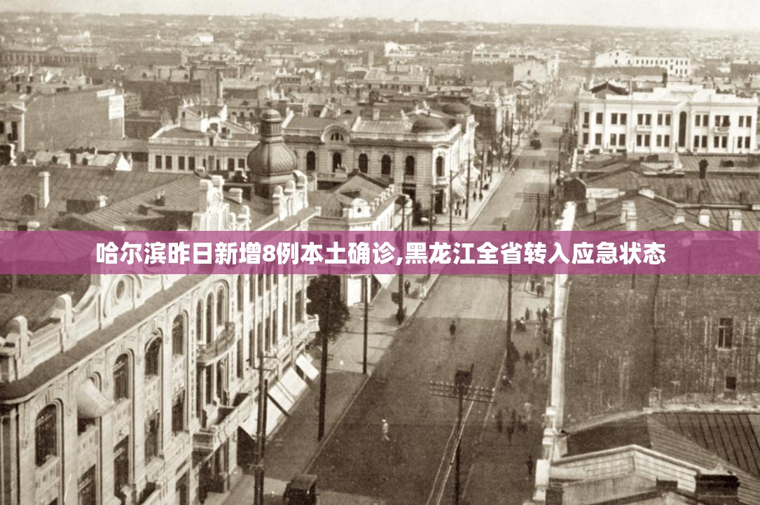 哈尔滨昨日新增8例本土确诊,黑龙江全省转入应急状态 哈尔滨昨日新增8例本土确诊,黑龙江全省转入应急状态