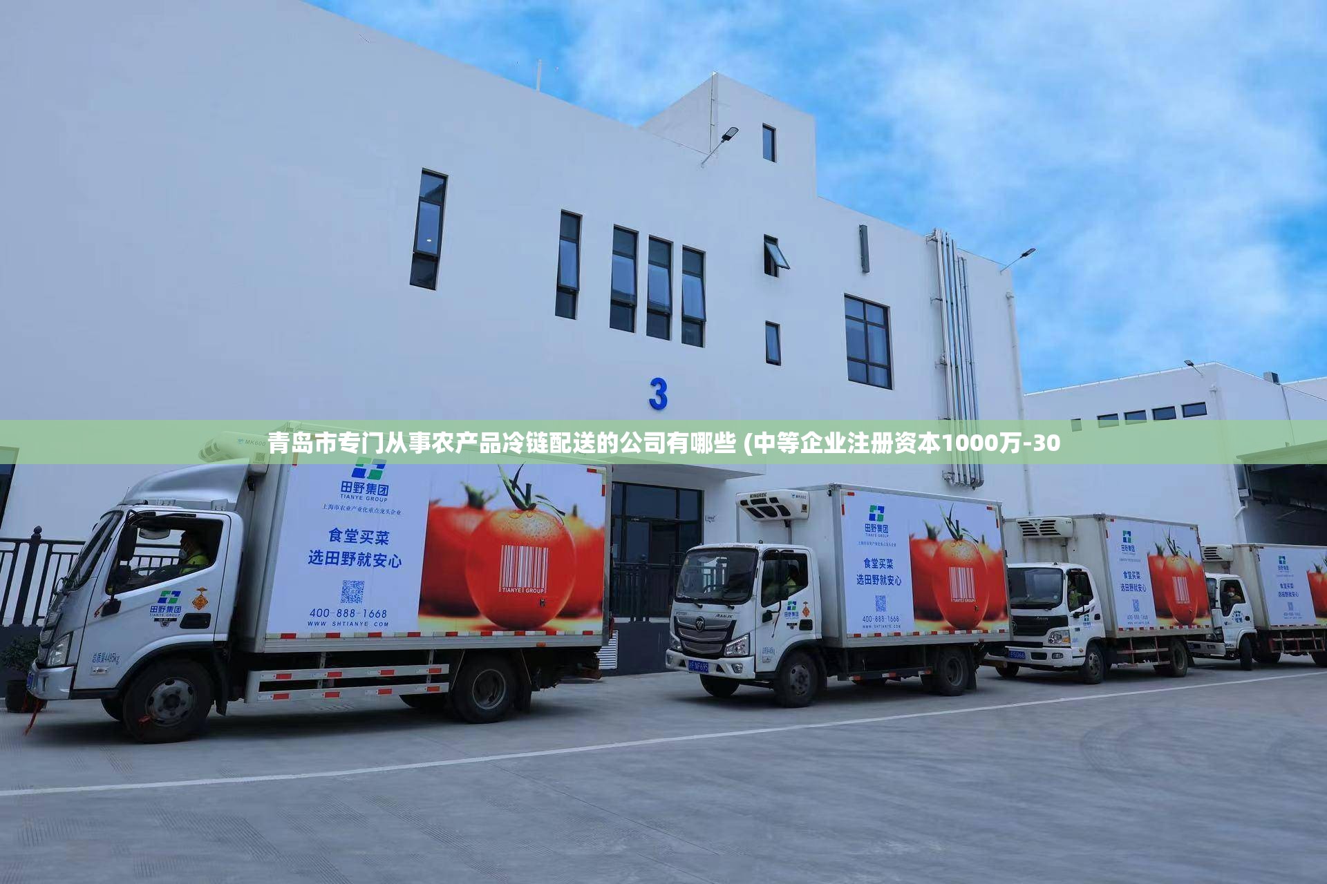 青岛市专门从事农产品冷链配送的公司有哪些 (中等企业注册资本1000万-30