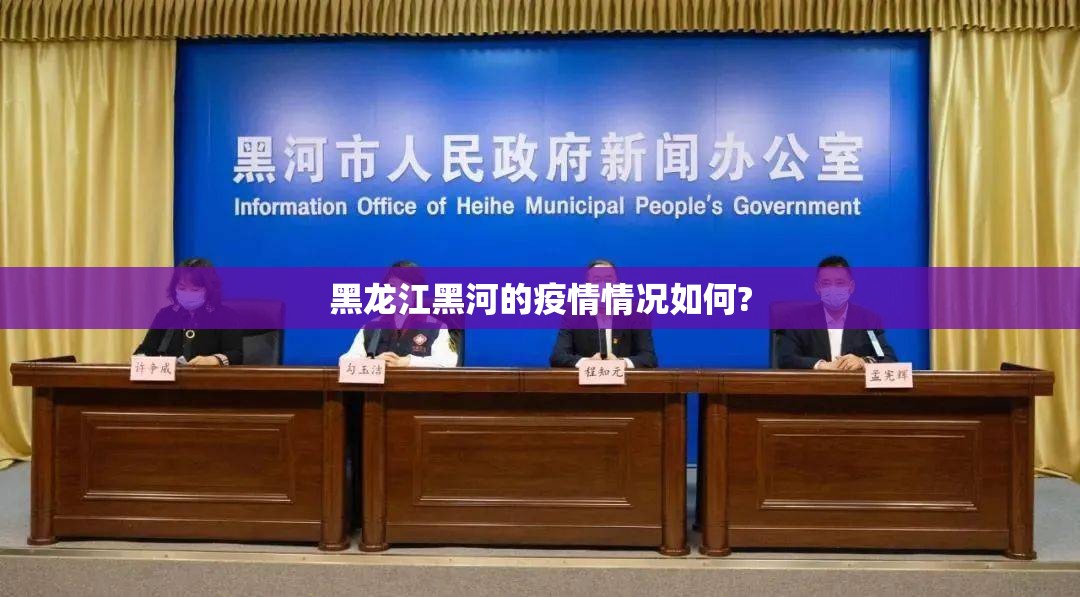 黑龙江黑河的疫情情况如何? 黑龙江黑河的疫情情况如何?