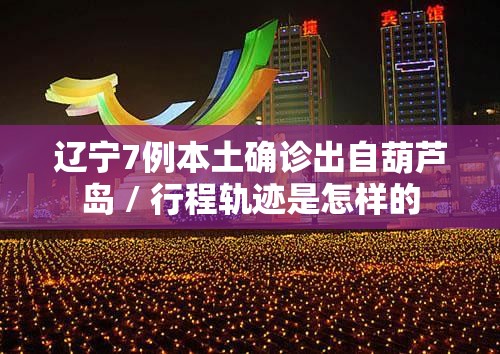 辽宁7例本土确诊出自葫芦岛 / 行程轨迹是怎样的