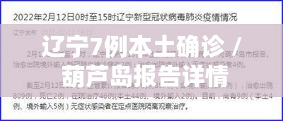 辽宁7例本土确诊 / 葫芦岛报告详情 辽宁7例本土确诊 / 葫芦岛报告详情
