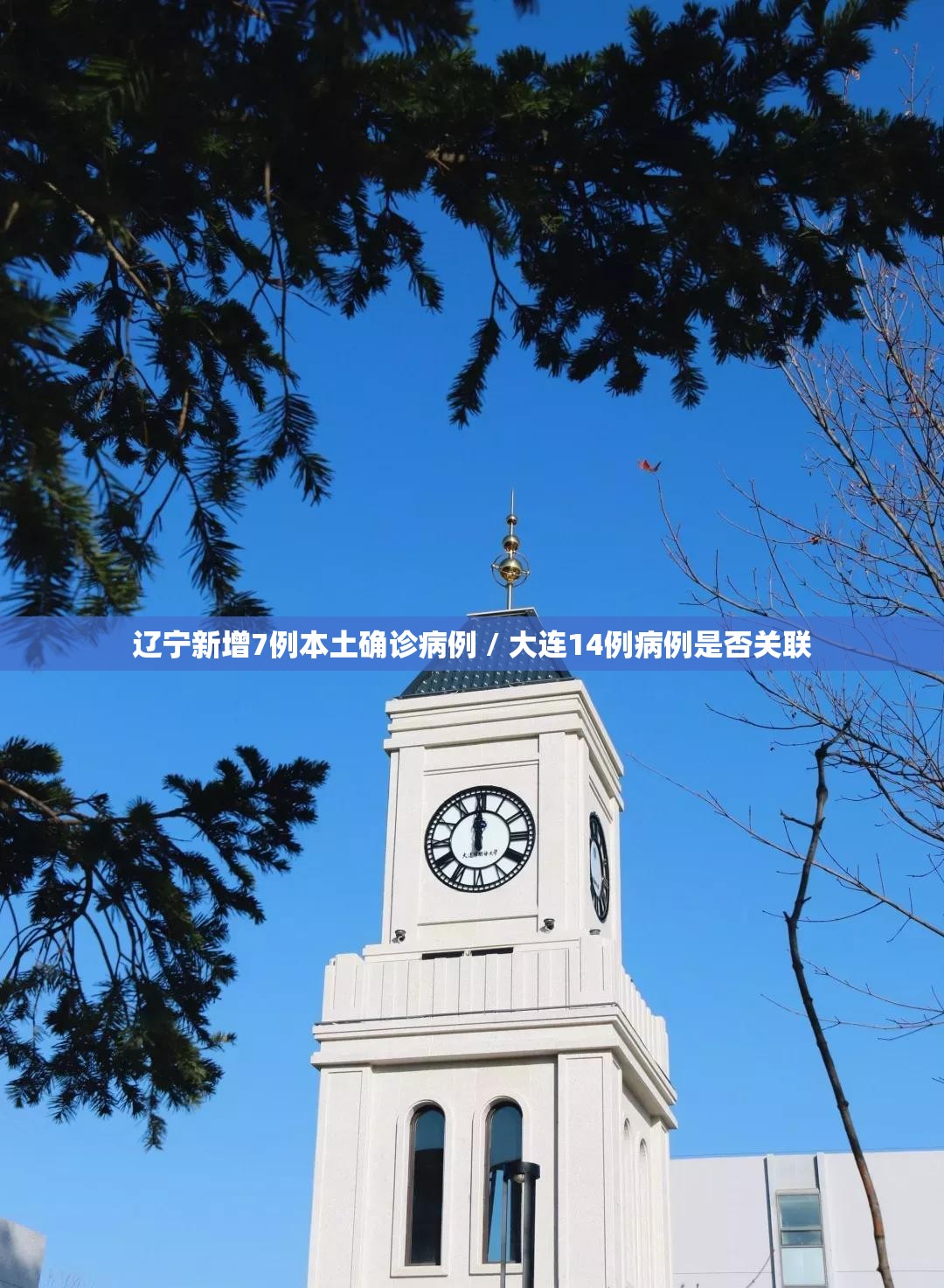 辽宁新增7例本土确诊病例 / 大连14例病例是否关联