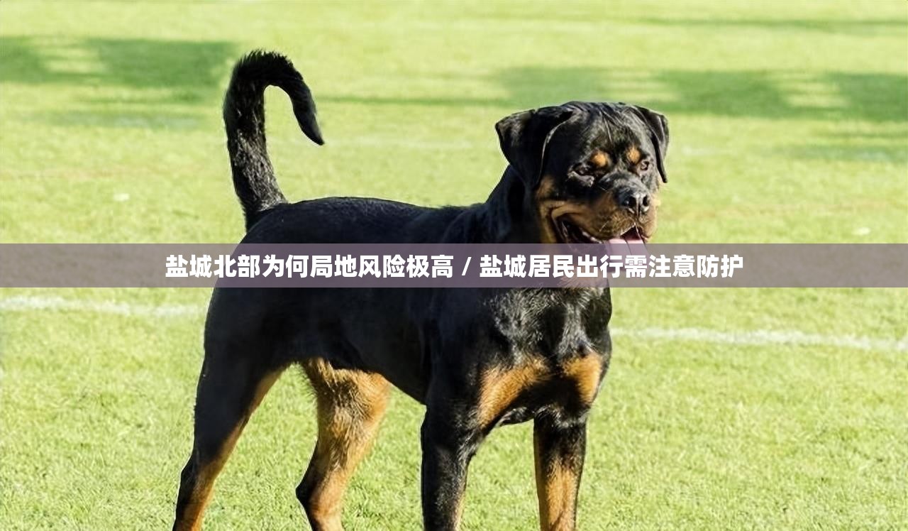 盐城北部为何局地风险极高 / 盐城居民出行需注意防护