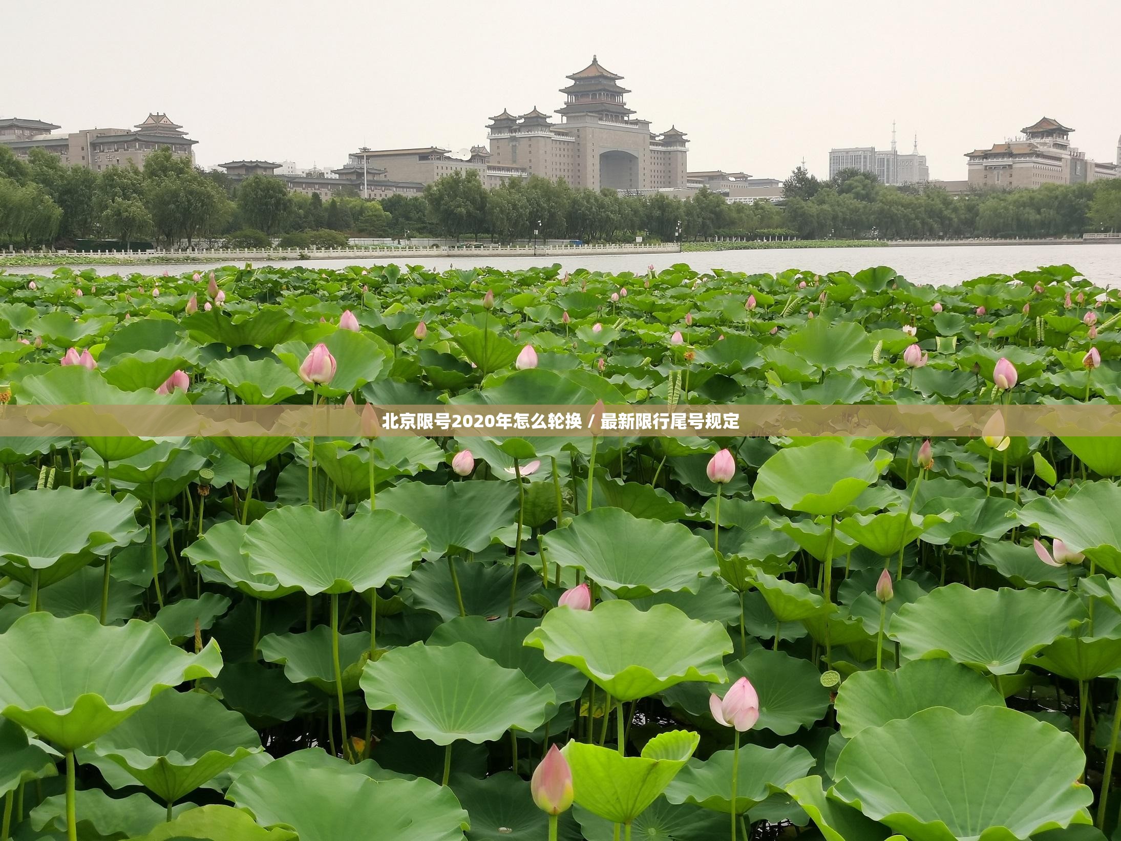 北京限号2020年怎么轮换 / 最新限行尾号规定 北京限号2020年怎么轮换 / 最新限行尾号规定