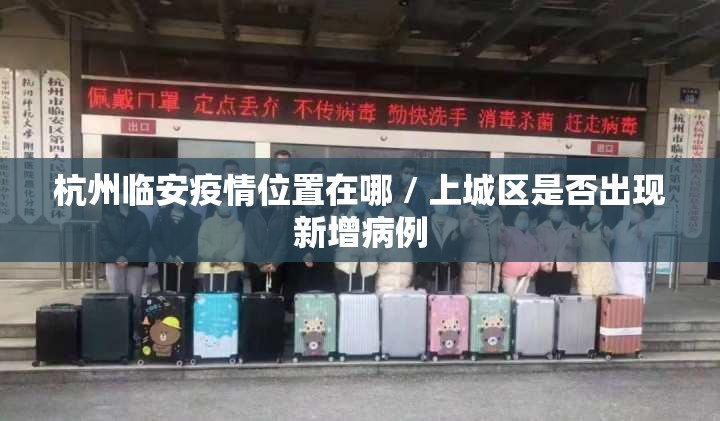 杭州临安疫情位置在哪 / 上城区是否出现新增病例 杭州临安疫情位置在哪 / 上城区是否出现新增病例