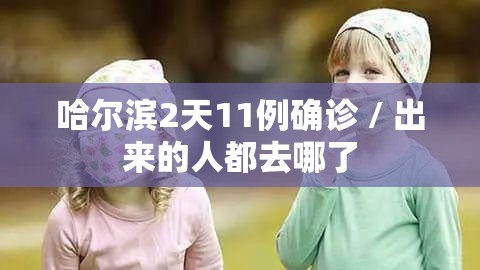 哈尔滨2天11例确诊 / 出来的人都去哪了