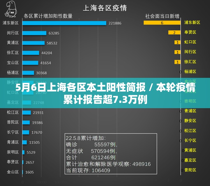 5月6日上海各区本土阳性简报 / 本轮疫情累计报告超7.3万例 5月6日上海各区本土阳性简报 / 本轮疫情累计报告超7.3万例