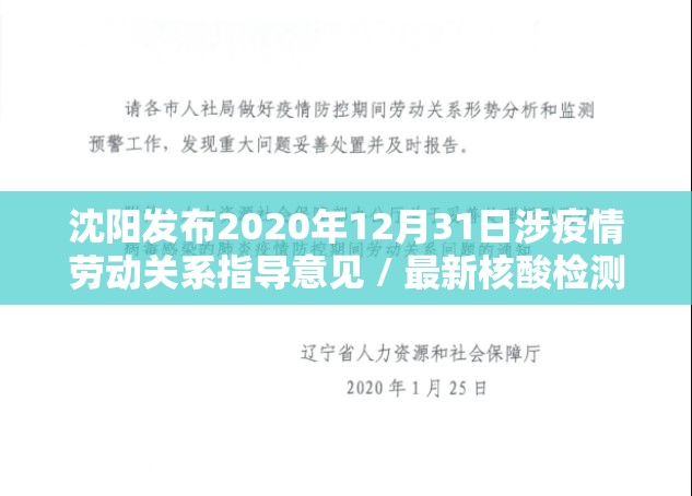 沈阳发布2020年12月31日涉疫情劳动关系指导意见 / 最新核酸检测阳性24例何时解除管控