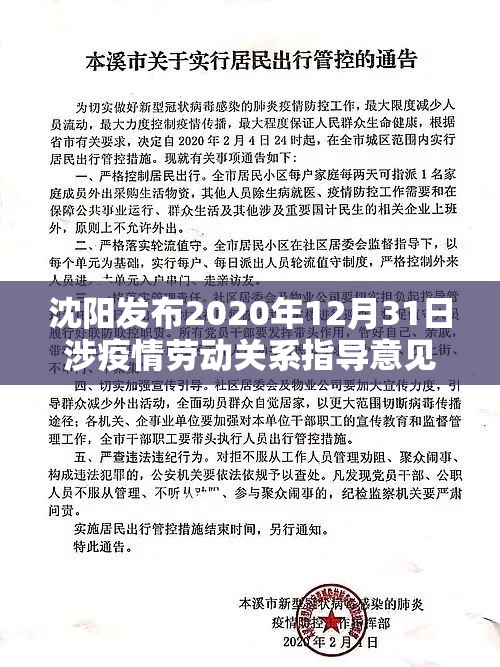 沈阳发布2020年12月31日涉疫情劳动关系指导意见 / 最新核酸检测阳性24例何时解除管控 沈阳发布2020年12月31日涉疫情劳动关系指导意见 / 最新核酸检测阳性24例何时解除管控
