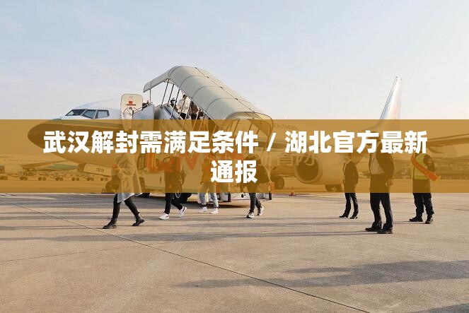 武汉解封需满足条件 / 湖北官方最新通报