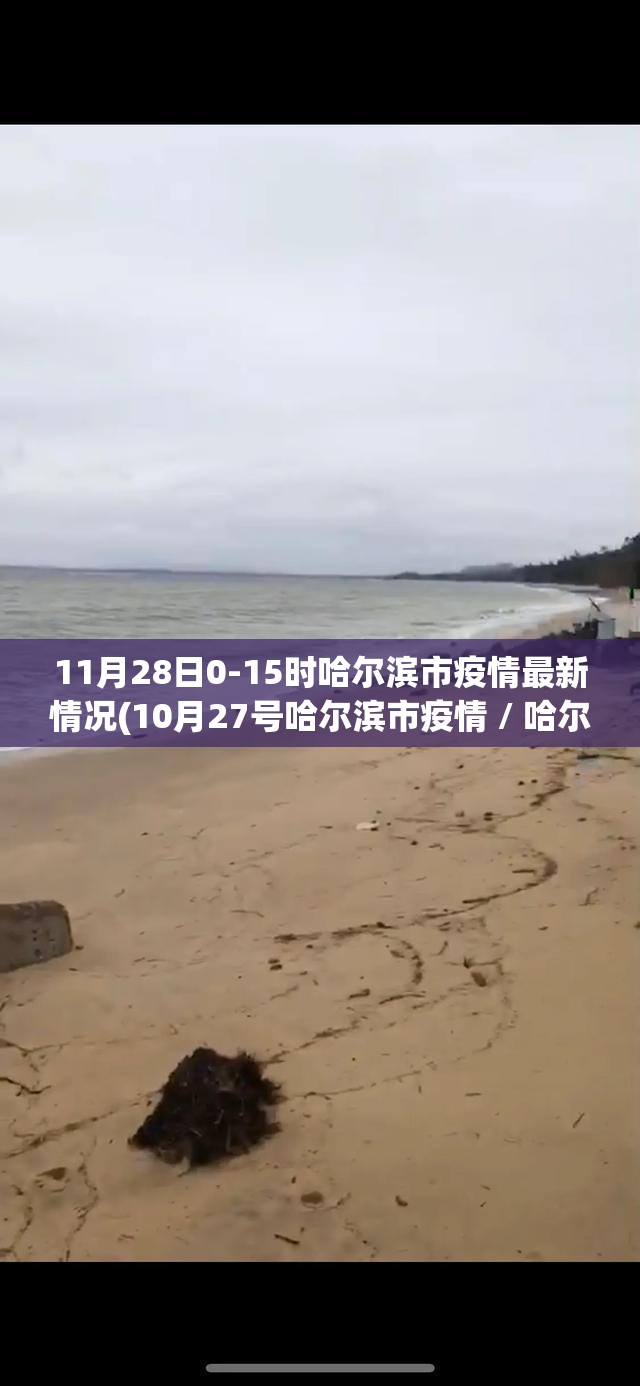 11月28日0-15时哈尔滨市疫情最新情况(10月27号哈尔滨市疫情 / 哈尔滨1人就餐后暴露第6天检出阳性