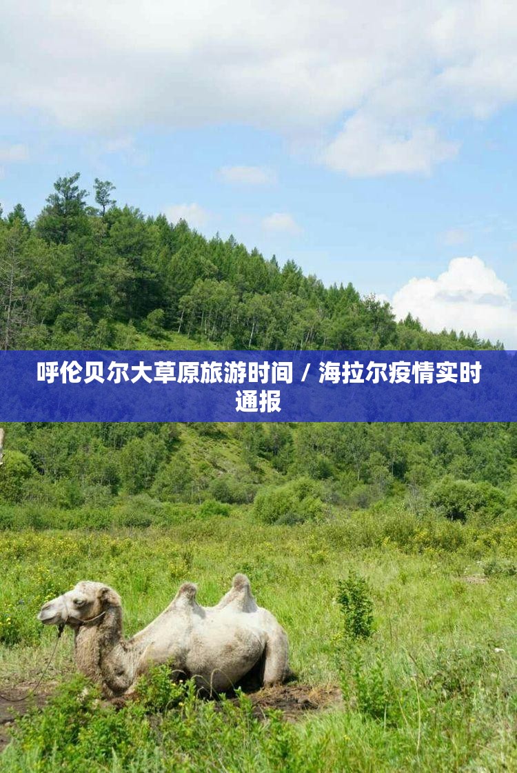呼伦贝尔大草原旅游时间 / 海拉尔疫情实时通报
