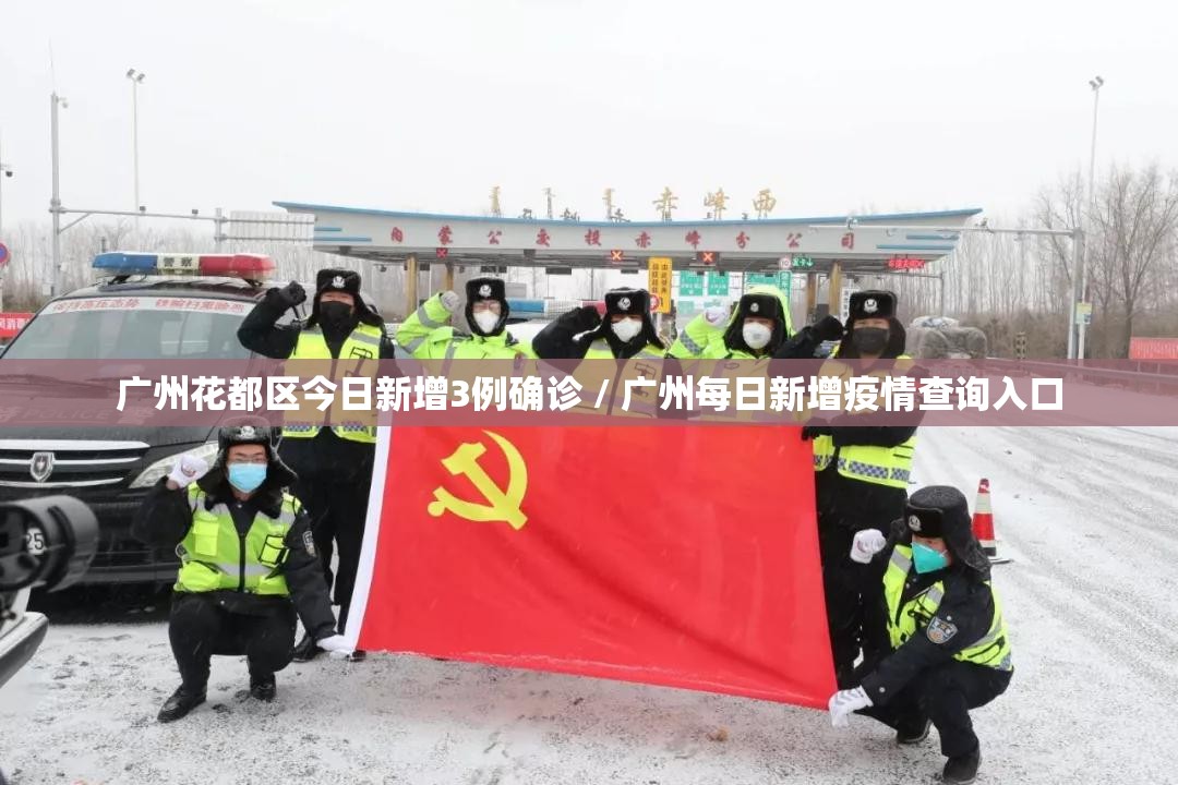 广州花都区今日新增3例确诊 / 广州每日新增疫情查询入口