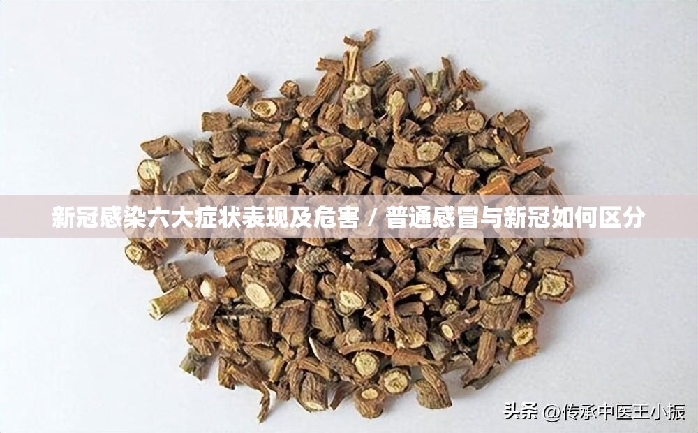 新冠感染六大症状表现及危害 / 普通感冒与新冠如何区分 新冠感染六大症状表现及危害 / 普通感冒与新冠如何区分