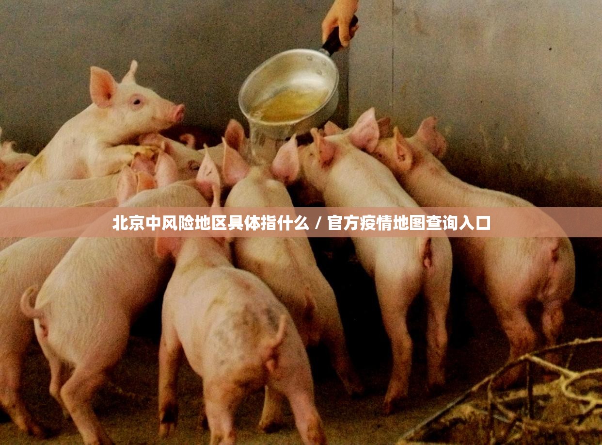 北京中风险地区具体指什么 / 官方疫情地图查询入口 北京中风险地区具体指什么 / 官方疫情地图查询入口