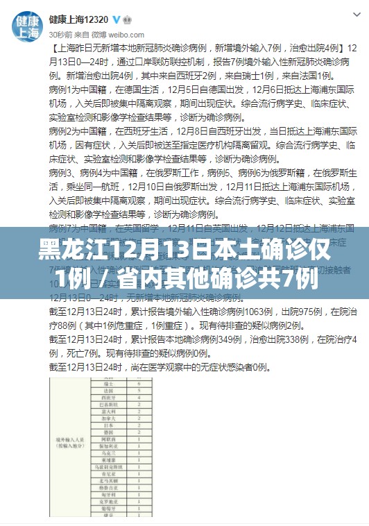 黑龙江12月13日本土确诊仅1例 / 省内其他确诊共7例