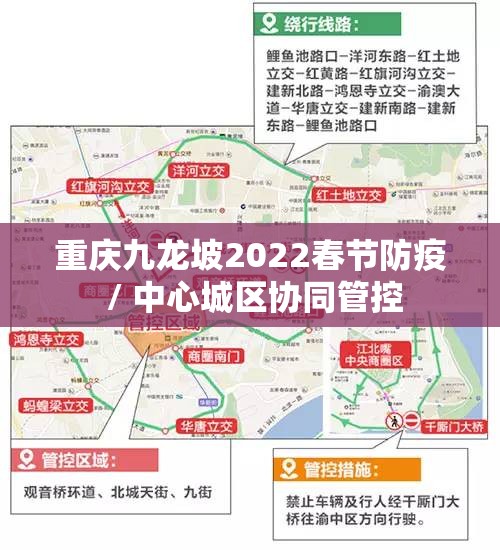 重庆九龙坡2022春节防疫 / 中心城区协同管控 重庆九龙坡2022春节防疫 / 中心城区协同管控