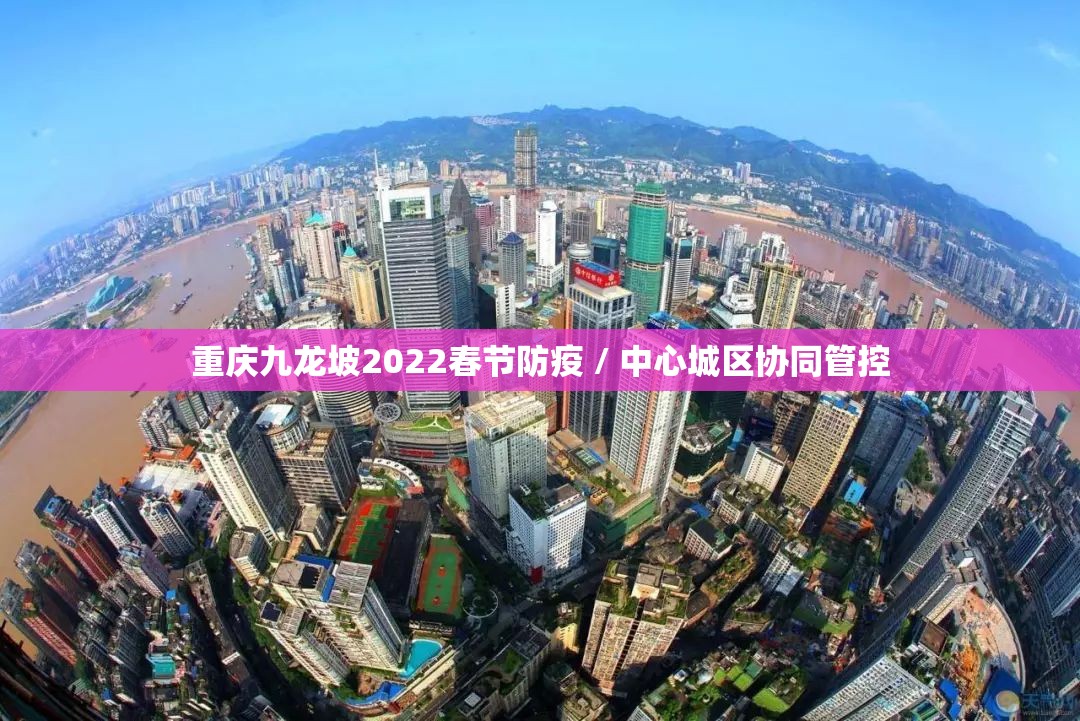 重庆九龙坡2022春节防疫 / 中心城区协同管控 重庆九龙坡2022春节防疫 / 中心城区协同管控