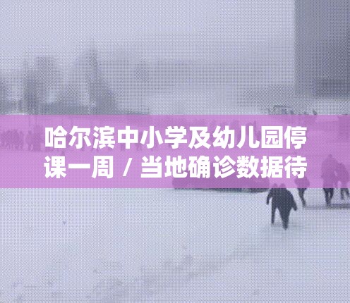 哈尔滨中小学及幼儿园停课一周 / 当地确诊数据待官方通报