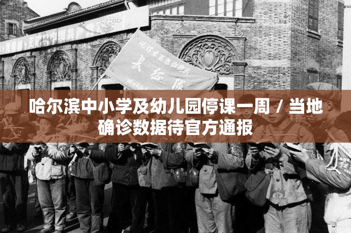 哈尔滨中小学及幼儿园停课一周 / 当地确诊数据待官方通报 哈尔滨中小学及幼儿园停课一周 / 当地确诊数据待官方通报
