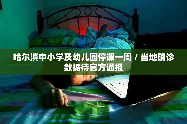 哈尔滨中小学及幼儿园停课一周 / 当地确诊数据待官方通报 哈尔滨中小学及幼儿园停课一周 / 当地确诊数据待官方通报