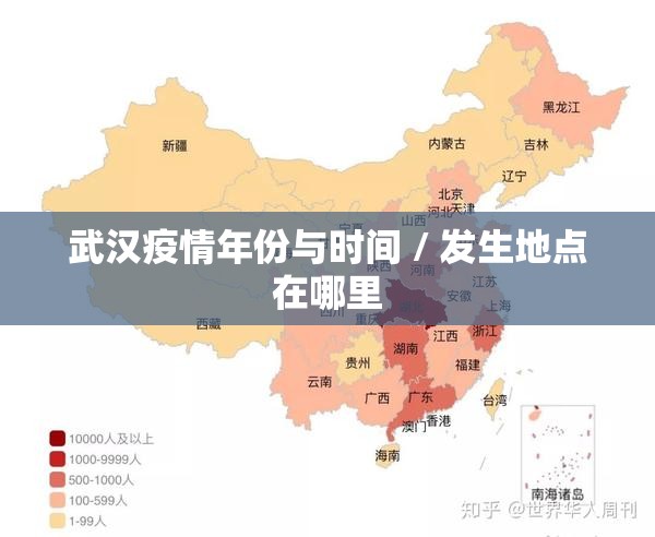 武汉疫情年份与时间 / 发生地点在哪里