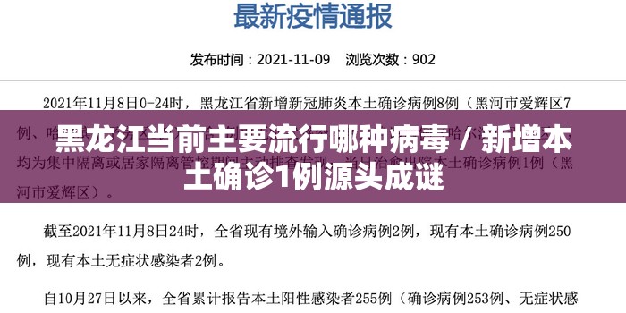 黑龙江当前主要流行哪种病毒 / 新增本土确诊1例源头成谜