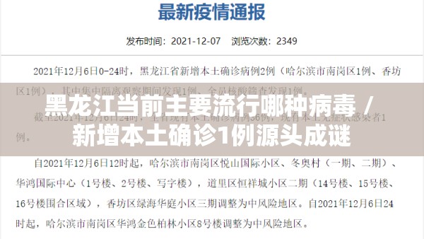 黑龙江当前主要流行哪种病毒 / 新增本土确诊1例源头成谜 黑龙江当前主要流行哪种病毒 / 新增本土确诊1例源头成谜