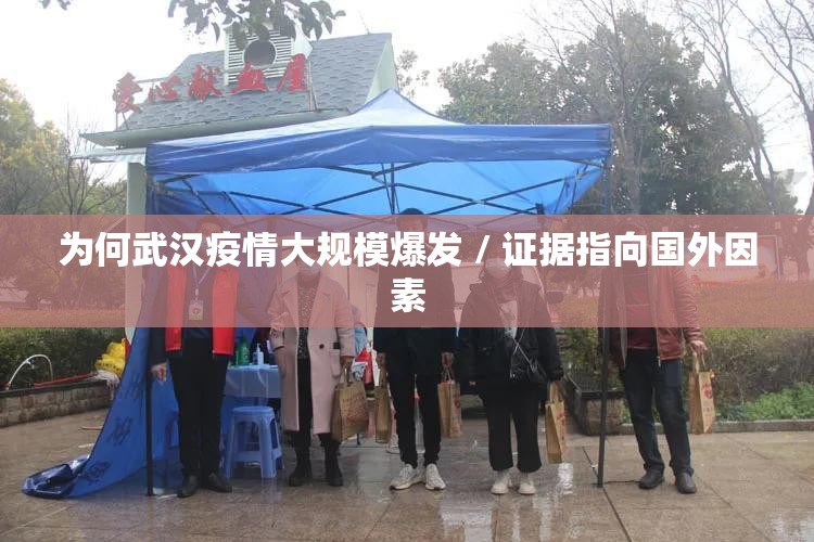 为何武汉疫情大规模爆发 / 证据指向国外因素 为何武汉疫情大规模爆发 / 证据指向国外因素