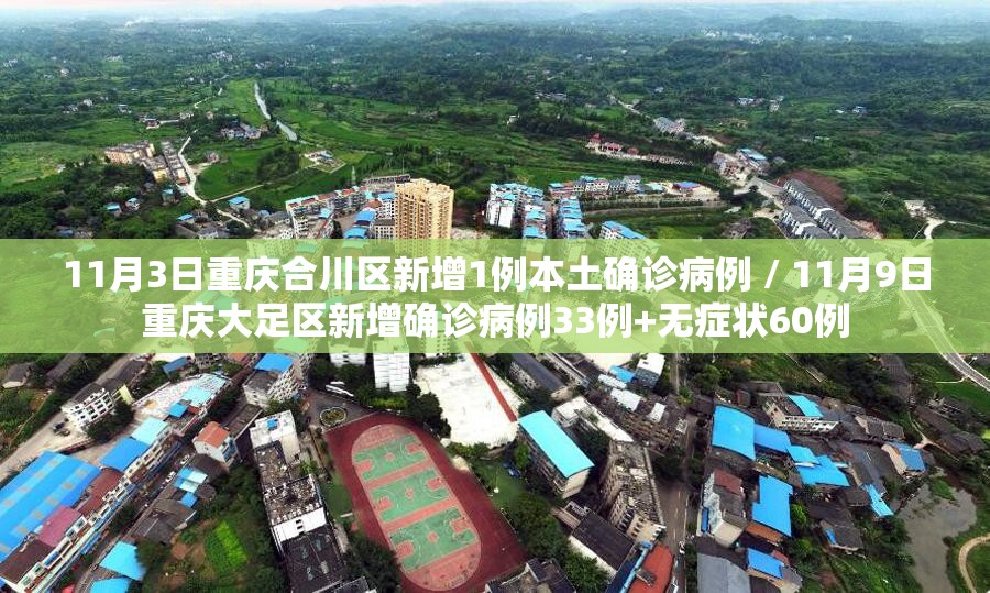 11月3日重庆合川区新增1例本土确诊病例 / 11月9日重庆大足区新增确诊病例33例+无症状60例 11月3日重庆合川区新增1例本土确诊病例 / 11月9日重庆大足区新增确诊病例33例+无症状60例
