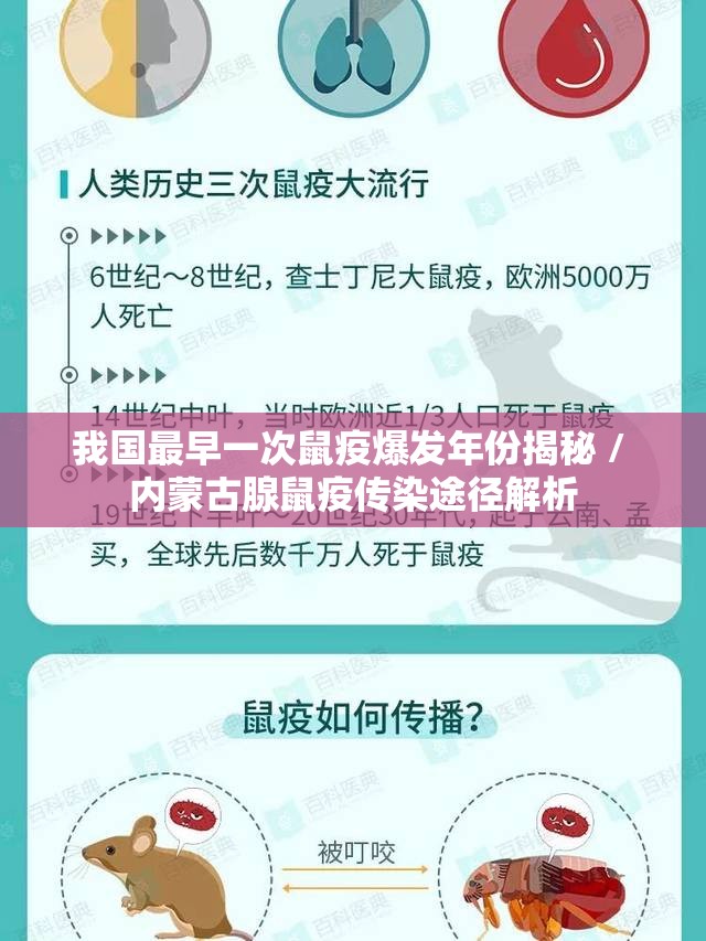 我国最早一次鼠疫爆发年份揭秘 / 内蒙古腺鼠疫传染途径解析 我国最早一次鼠疫爆发年份揭秘 / 内蒙古腺鼠疫传染途径解析