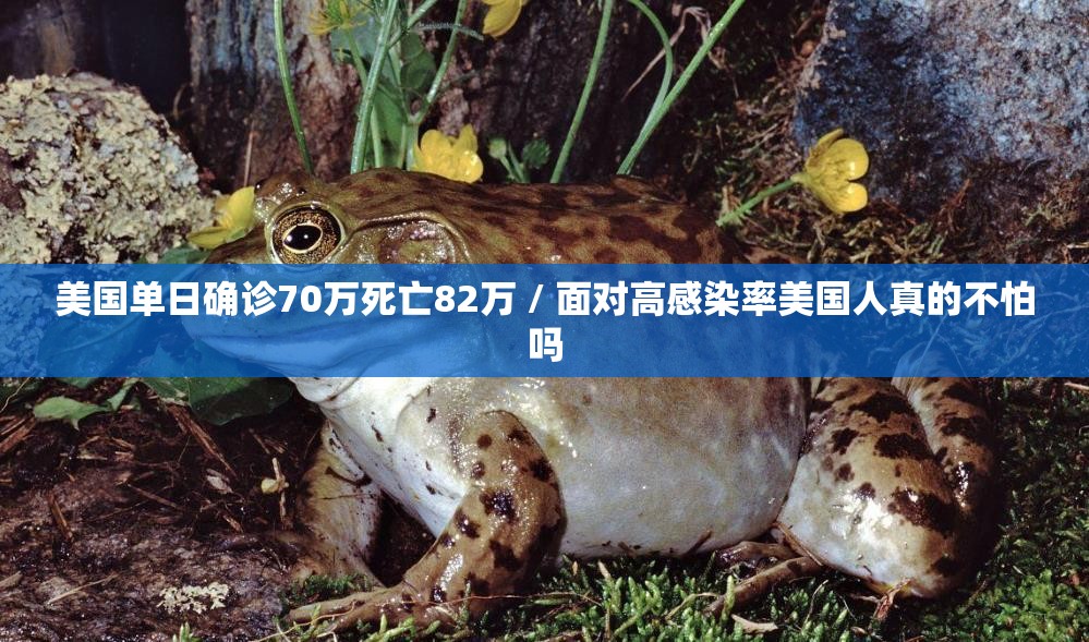 美国单日确诊70万死亡82万 / 面对高感染率美国人真的不怕吗 美国单日确诊70万死亡82万 / 面对高感染率美国人真的不怕吗